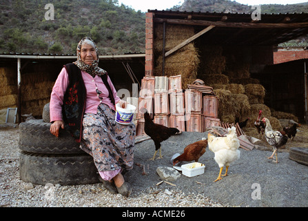 I vecchi donna turca tendendo i suoi pulcini in una fattoria in un piccolo villaggio nel sud della Turchia occidentale. Foto Stock