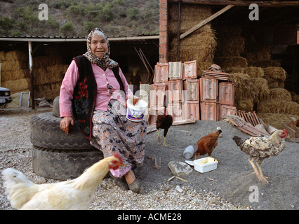 I vecchi donna turca tendendo i suoi pulcini in una fattoria in un piccolo villaggio nel sud della Turchia occidentale. Foto Stock