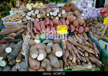 Brixton market Electric Lane South London dispone di una vasta gamma di etnie dei Caraibi e inconsueto di frutta e verdura. Foto Stock
