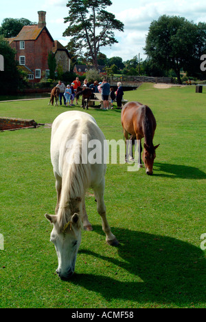 Beaulieu Inghilterra Hampshire REGNO UNITO Foto Stock