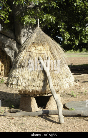 Granaio di fronte Batammaliba tata casa Taberma Nadoba Valley Togo Africa occidentale Foto Stock