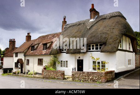 Cottage a West Meon, Hampshire, Inghilterra Foto Stock