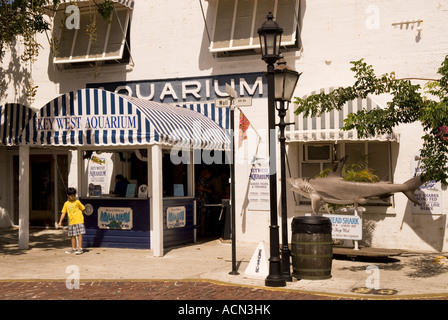 Acquario di Key West FL, Florida Keys Foto Stock