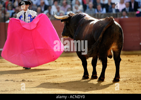 A due mani passare durante una corrida, Siviglia, Spagna, 2006 Foto Stock