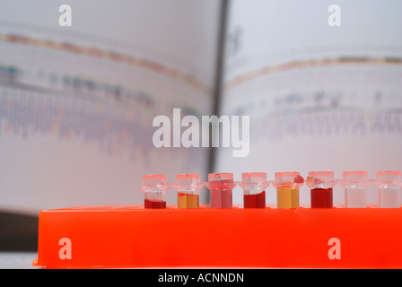 Ricerca di DNA con i grafici di grafica di riferimento in background Foto Stock