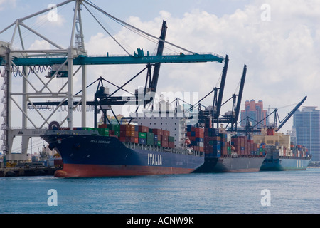 Nave container caricati con carico ormeggiata al Porto di Miami accanto a gru giganti in Florida Foto Stock