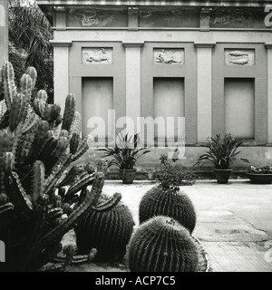 Edificio principale all'interno del Giardino Botanico di Palermo capitale della isola di Sicilia Italia Foto Stock