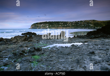 Seashore Sumner Christchurch Canterbury Isola del Sud della Nuova Zelanda Foto Stock