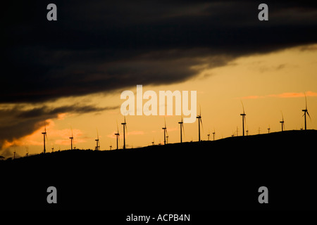 Tararua wind farm nei pressi di Palmerston North Manawatu Affitto Isola del nord Foto Stock