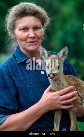 Donna con il Roe Deer Fawn Foto Stock
