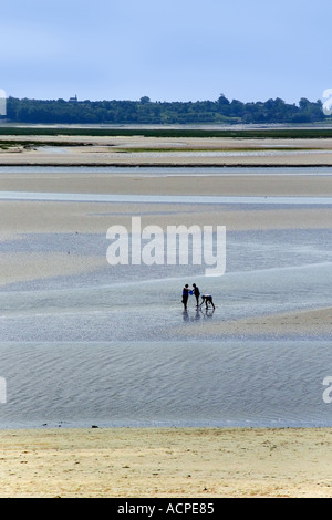 Francia nord picardie somme holiday resort di le crotoy sull'estuario del fiume somme beach Foto Stock