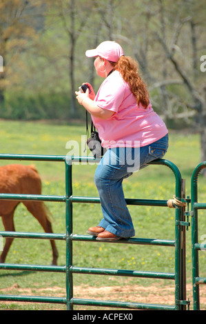 Molto grande donna sulla recinzione al dude ranch nel paese guardando roundup di bestiame da cowboy Foto Stock