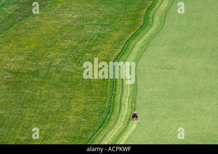 Trattore su prato Foto Stock