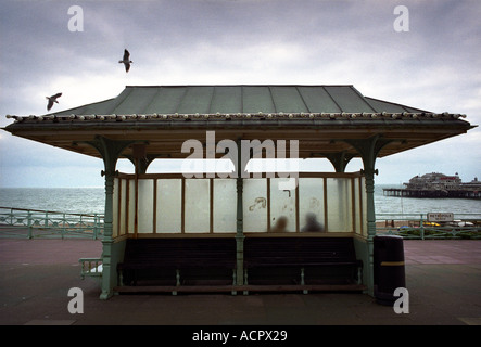 Un rifugio di fronte al mare a Brighton Regno Unito Foto Stock