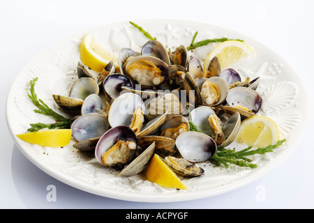 Preparate di fresco cozze sulla piastra, close-up Foto Stock