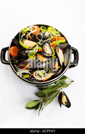 Cozze, preparati di fresco, vista in elevazione Foto Stock