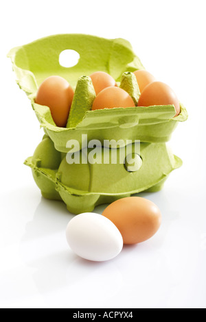 Uova fresche nella casella Foto Stock