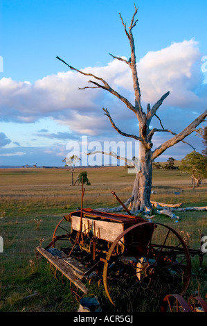 Una vecchia fattoria aratro e albero morto nel paddock Foto Stock