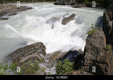 Parte superiore del ponte naturale oltre il Fiume Kicking Horse per campo vicino al Parco Nazionale di Yoho della Columbia britannica in Canada Foto Stock