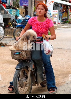 Giovane donna con soffici cane equitazione sulla motocicletta Ko Pha Ngan isola della Thailandia Foto Stock