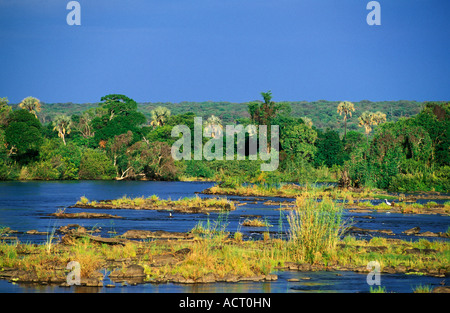 Vista della parte superiore del fiume Zambesi vicino a Victoria Falls Victoria Falls Zimbabwe Foto Stock