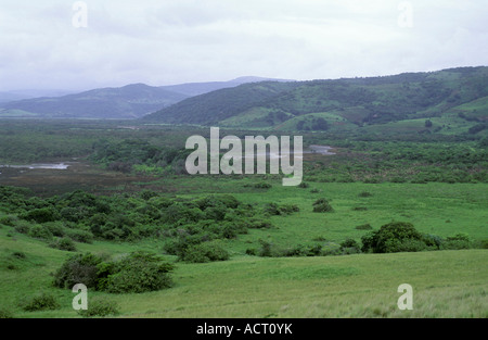 Vista panoramica del fiume Umngazana estuario la foresta di mangrovie Transkei e provincia del Capo Sud Africa Foto Stock
