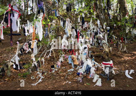 Stracci appesi, panni e vestiti sugli alberi. Folklore scozzese e superstizione a Cootie, Cloughtie Well, Munlochy, Black Isle, Invernesshire, Scozia Foto Stock