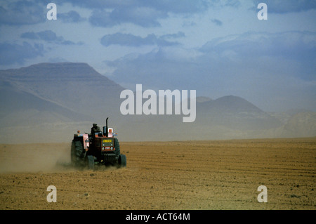 Un uomo su un trattore rosso terra di aratura con le montagne sullo sfondo Clarens orientale dello stato libero Sud Africa Foto Stock