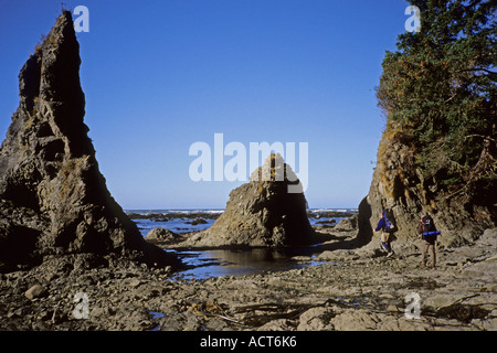 Gli escursionisti su Olympic costa vicino a rocce di nozze Cape Alava e lago Ozette trail e il Parco Nazionale di Olympic, Washington Foto Stock