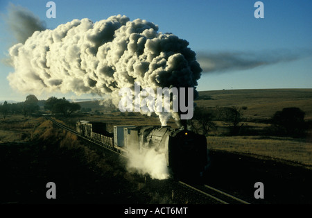 Testa sulla vista di un movimento del treno a vapore di fumo billowing Betlemme Libero Stato del Sud Africa Foto Stock