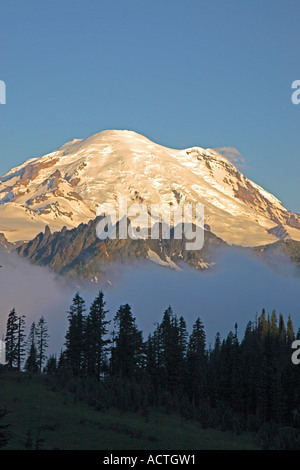 Mount Rainier all'alba dal Chinook Pass, Washington Foto Stock