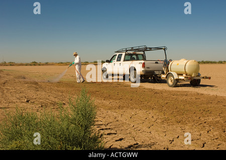 Noi pesci e fauna selvatica lavoratore sale spruzza il cedro con erbicida al Salton Sea National Wildlife Refuge Southern California Foto Stock