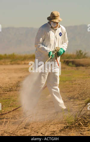 Noi pesci e fauna selvatica lavoratore sale spruzza il cedro con erbicida al Salton Sea National Wildlife Refuge Southern California Foto Stock