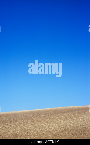 Parte di un campo su un declivio della collina dove la luce calcareo suolo è stato arato e coltivati sotto un enorme cielo blu chiaro Foto Stock