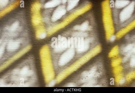 Proiezione di diamante riquadri con piombo di vetrate con la ripetizione fleur-de-lys motif crema sulla parete dipinta in una luce calda Foto Stock