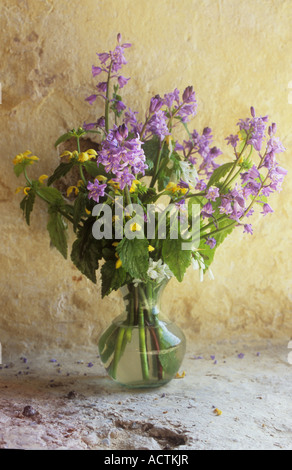 Piccolo a collo stretto vaso di vetro su caldo circa resi dipinte di color crema contenente cantonale Bluebell e giallo fiori arcangelo Foto Stock