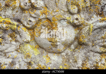 Dettaglio del lichen coperto lapide datata 1839 con testa di cherubic angelo con parentesi di ciocche di capelli Foto Stock