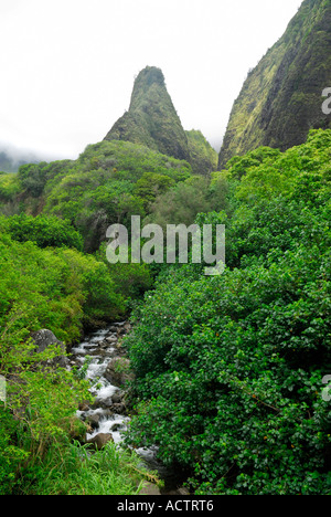 L'ago e lo streaming a Iao Valley State Park Isola di Maui Hawaii Foto Stock