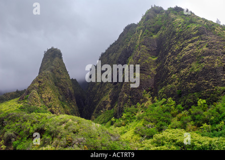 La Iao ago gulch e con bassa cloud a Iao Valley State Park Maui Hawaii Foto Stock