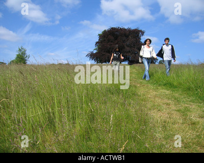 Hampstead Heath erba alta e la famiglia a piedi a inizio estate London REGNO UNITO Foto Stock