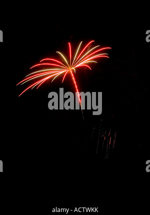 Fuochi d'artificio SIMILE A UN ALBERO DI PALMA Foto Stock