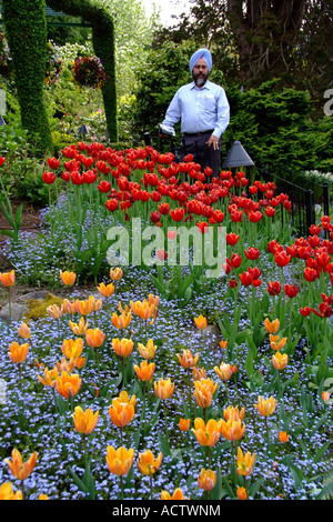 Un gentiluomo sikh indossando un turbante blu è in piedi al centro del giardino di tulipani Foto Stock