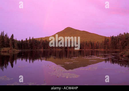 Il clacson si riflette nel laghetto sconosciuto all'alba, White Mountain National Forest, New Hampshire Foto Stock