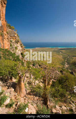 Discendente da Homil Plateu verso la costa orientale dell isola di Socotra Yemen Foto Stock