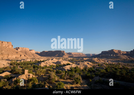 Il paesaggio di palme da dattero e mountians intorno al villaggio Hajjarin all'interno di Wadi Dawan Yemen Foto Stock