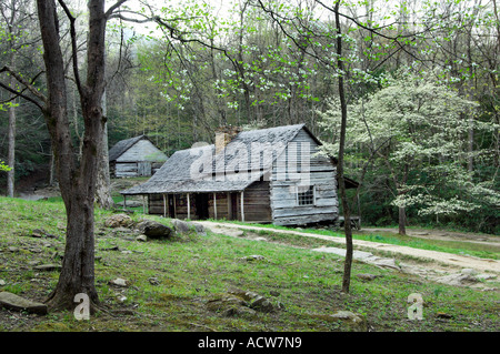 Noè Bud Ogle luogo in primavera accanto a LeConte Creek in Great Smoky Mountain National Park USA Foto Stock