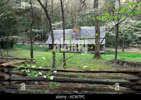 Noè Bud Ogle luogo in primavera accanto a LeConte Creek in Great Smoky Mountain National Park USA Foto Stock