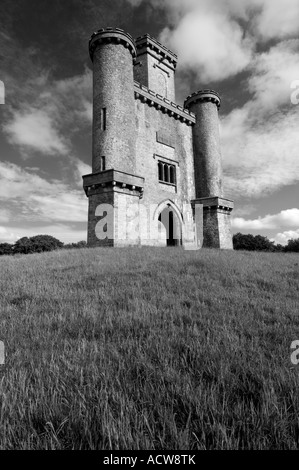 Torre Paxtons follia vittoriano vicino Llanarthne Carmarthenshire Giugno 2007 costruito dall'uomo che ha progettato il Crystal Palace Foto Stock