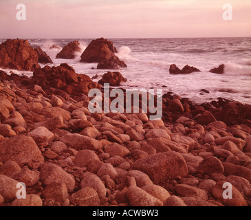 Campo linea costiera di rocce al tramonto sulla penisola di Monterey in California Foto Stock