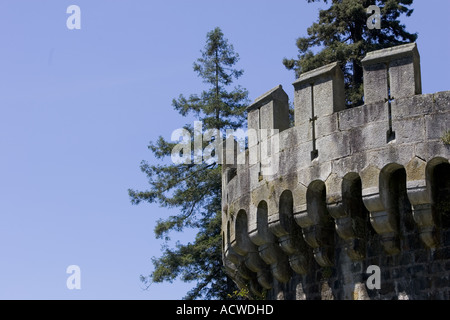 Merli esterna a Butron castello del XIII secolo il castello medievale nella campagna basca vicino Gatika, Spagna Foto Stock